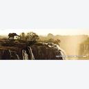 Afbeelding van 1000 st - Marsel Van Oosten - Elephant - Alexander von Humboldt (door Heye)