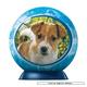 Afbeelding van 60 st - Nieuwsgierige Puppy - Puzzleball (door Ravensburger)