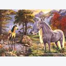 Afbeelding van 1000 st - Verborgen Paarden - Verborgen beelden (door Jumbo)