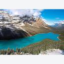 Afbeelding van 1500 st - Peyto Lake, Banff National Park (door Castorland)