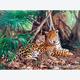 Afbeelding van 3000 st - Jaguars in de jungle (door Castorland)
