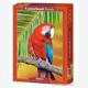 Afbeelding van 500 st - Macaw (door Castorland)