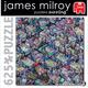 Afbeelding van 625 st - Puzzlers Puzzling - James Milroy (door Jumbo)