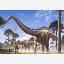 Afbeelding van 1000 st - Supersaurus (door Castorland)