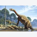 Afbeelding van 500 st - Plateosaurus (door Castorland)