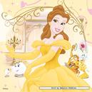 Afbeelding van 4 st - Disney Prinses 4 in 1 - Disney (door Jumbo)