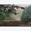 Afbeelding van 1000 st - N. Bulder: Deer / Ceasar (Hert) (door Puzzelman)