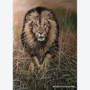 Afbeelding van 1000 st - N. Bulder: Lion / Leeuw (door Puzzelman)