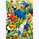 Afbeelding van 1000 st - Kleurrijke Vogelwereld (door Castorland)