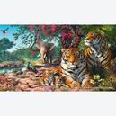 Afbeelding van 1000 st - Tiger Sanctuary - Steve Read (door Gibsons)
