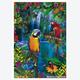 Afbeelding van 500 st - Tropische vogels - Genuine (door Educa)