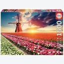 Afbeelding van 1500 st - Tulpen landschap (door Educa)