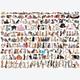 Afbeelding van 1000 st - The World of Cats (door Eurographics)