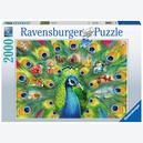 Afbeelding van 2000 st - Land of the Peacock (door Ravensburger)