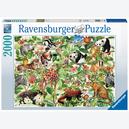 Afbeelding van 2000 st - Jungle (door Ravensburger)